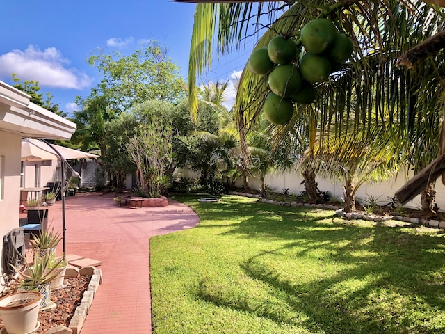 1760 Bel Air Ave, Lauderdale By The Sea, FL 33062 - view of yard with a patio