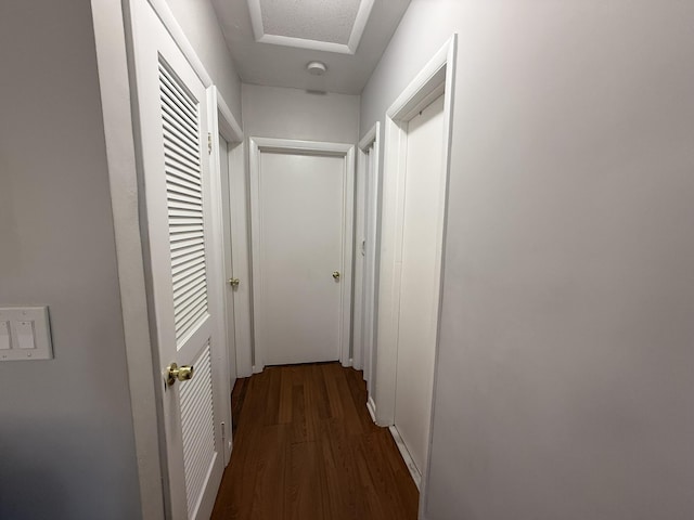 181 Morgans Way, Palm Springs, FL 33461 - hall with dark wood finished floors