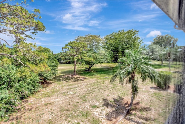 view of yard with view of wooded area