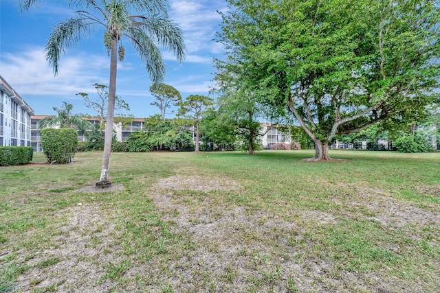 view of grassy yard