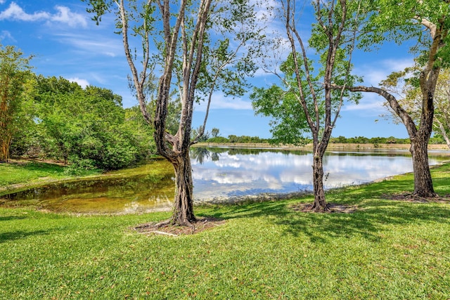 water view