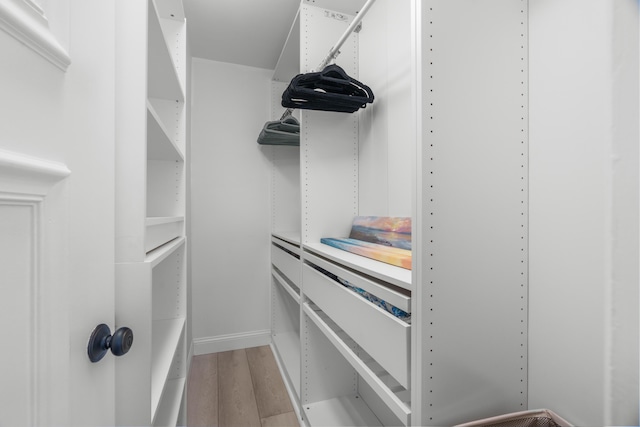 1150 NW 13th St Unit 172C, Boca Raton, FL 33486 - spacious closet with light wood-style floors