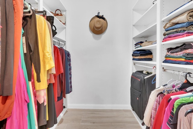 7816 Red River Rd, West Palm Beach, FL 33411 - spacious closet featuring light wood-style floors