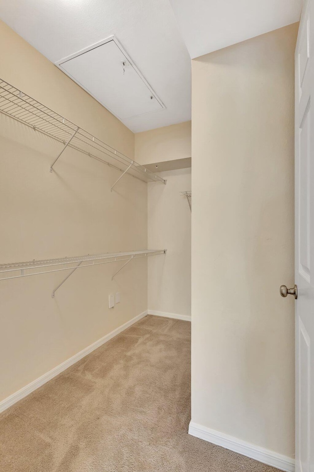 6510 Emerald Dunes Dr Unit 302, West Palm Beach, FL 33411 - walk in closet featuring light colored carpet