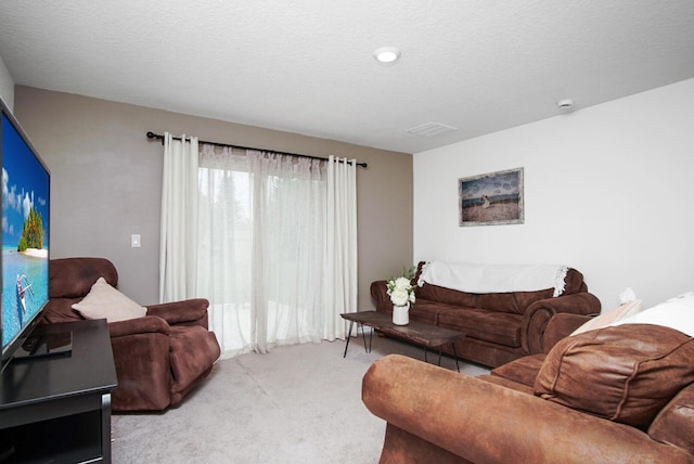 carpeted living area with a textured ceiling