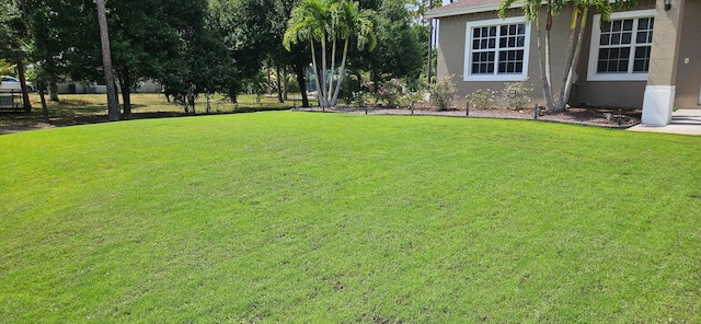 14413 71st Pl N, Loxahatchee, FL 33470 - view of green lawn