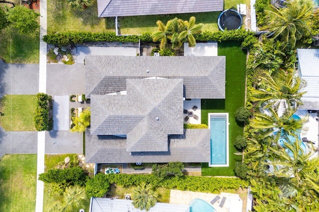 bird's eye view