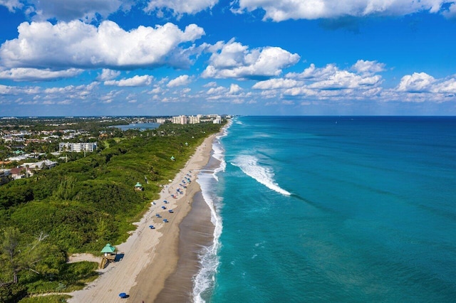 drone / aerial view of unending shoreline