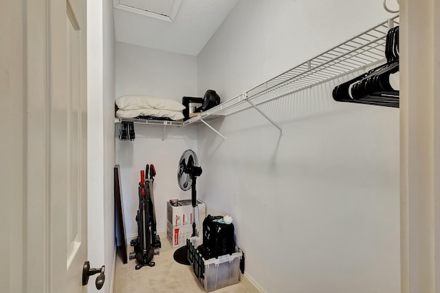 212 Cypress Point Dr, Palm Beach Gardens, FL 33418 - spacious closet featuring carpet