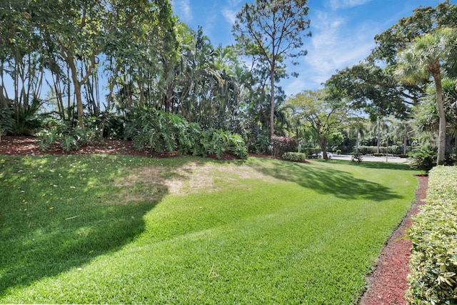 2070 Homewood Blvd Unit 1115, Delray Beach, FL 33445 - view of green lawn