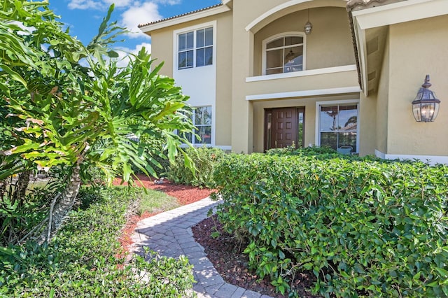 view of exterior entry featuring stucco siding