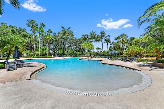 community pool featuring a patio area and view of wooded area