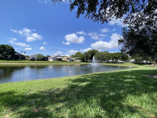 water view