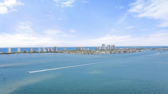 water view with a view of skyline