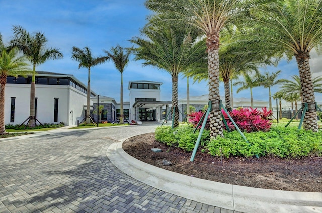 view of home's community with curved driveway