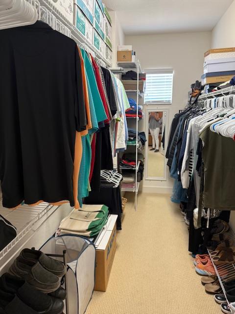 spacious closet featuring carpet flooring