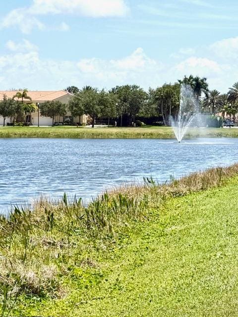water view