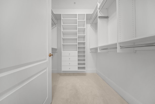 walk in closet featuring carpet floors