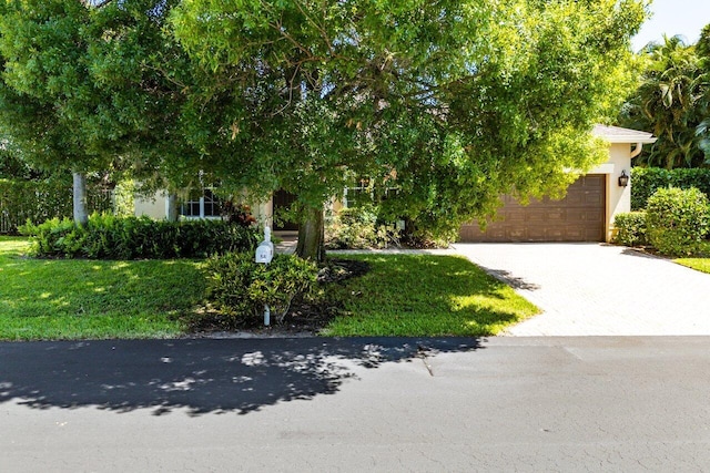 view of property hidden behind natural elements featuring driveway, a front lawn, an attached garage, and stucco siding