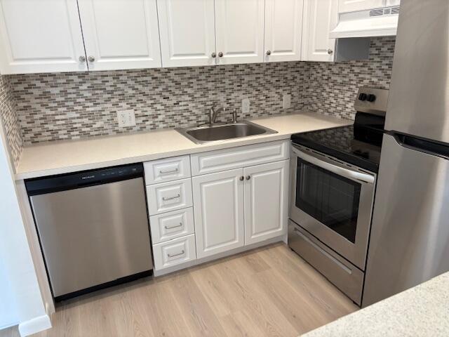 kitchen featuring under cabinet range hood, stainless steel appliances, light wood finished floors, and a sink