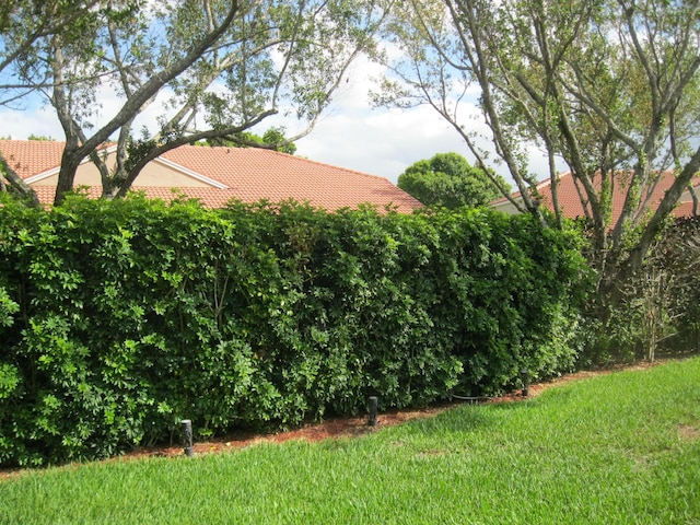view of grassy yard