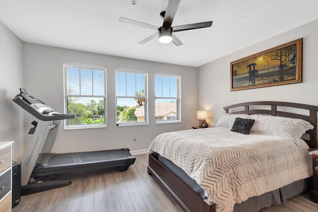 609 Amador Ln Unit 4, West Palm Beach, FL 33401 - bedroom featuring multiple windows, wood finished floors, baseboards, and a ceiling fan