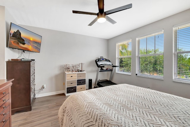 609 Amador Ln Unit 4, West Palm Beach, FL 33401 - bedroom with light wood finished floors, multiple windows, and baseboards