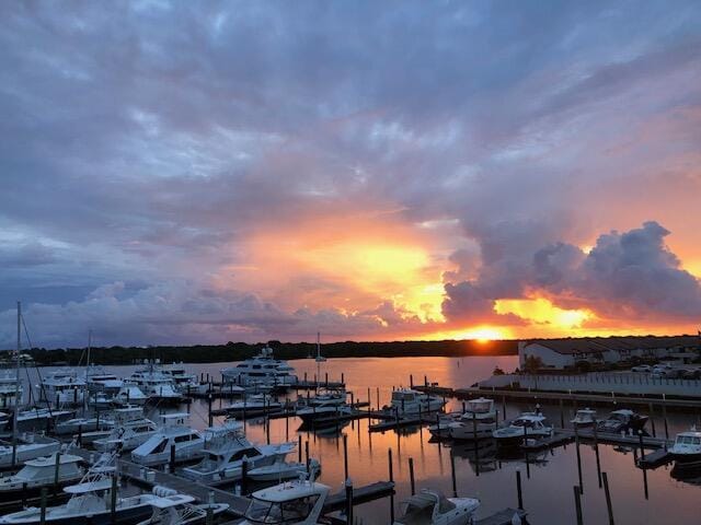 water view with a dock and numerous boat docks