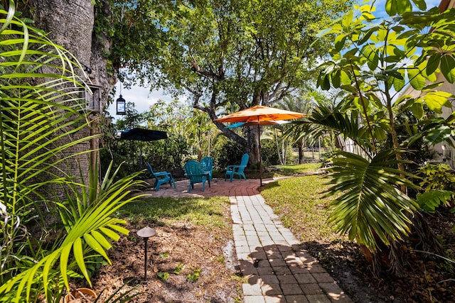4060 Lake Dr, Coconut Creek, FL 33066 - view of yard featuring a patio area
