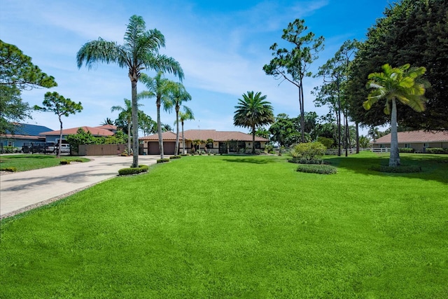 view of green lawn with driveway and an attached garage