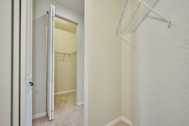 spacious closet with light carpet