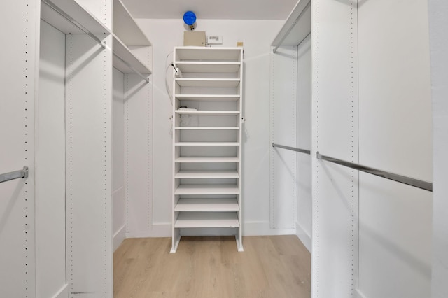 7884 Seville Pl Unit 1301, Boca Raton, FL 33433 - walk in closet with light wood-style floors