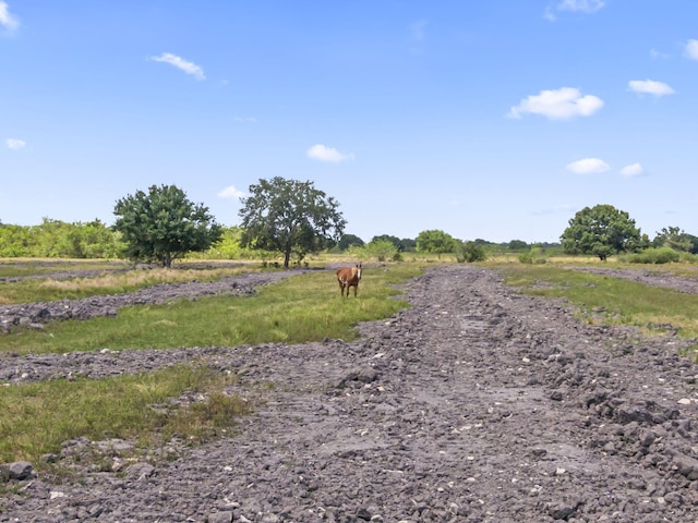 1545 Pulitzer Rd, Fort Pierce, FL 34945 - view of street with a rural view