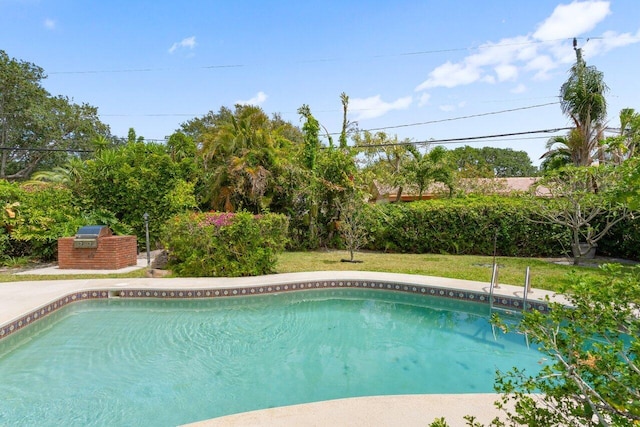 outdoor pool with a yard and exterior kitchen
