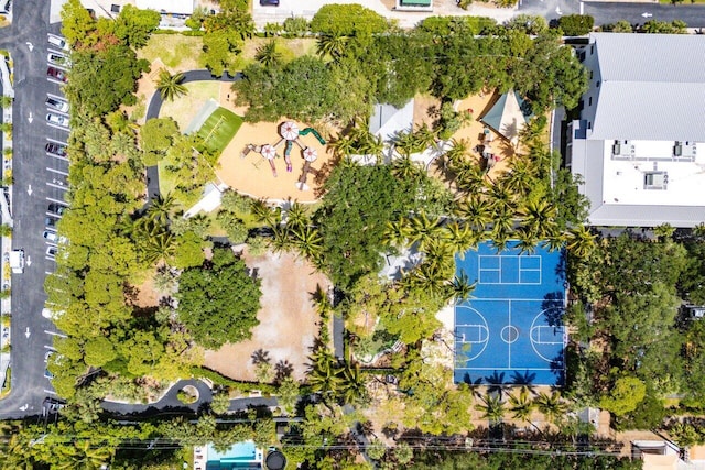 bird's eye view