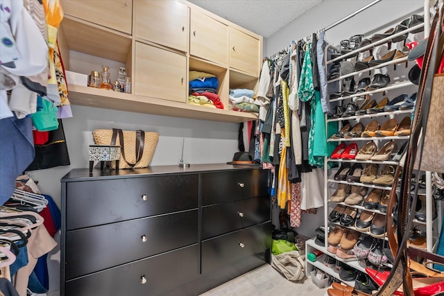184 NW 115th Ter, Plantation, FL 33325 - view of spacious closet