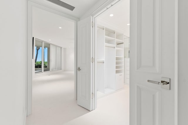 view of spacious closet