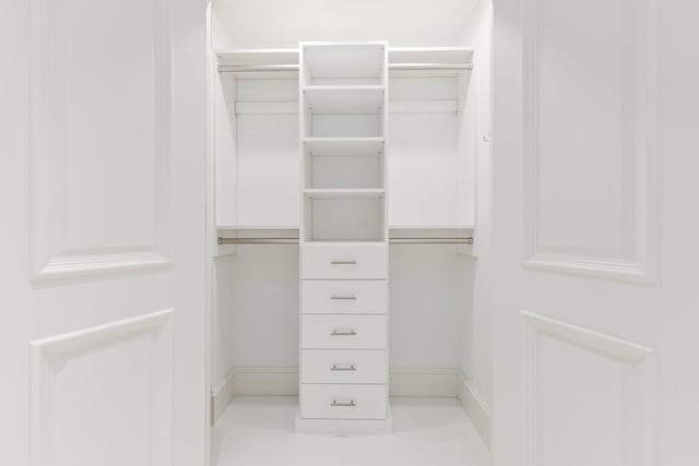 view of walk in closet