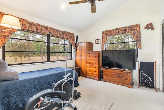carpeted bedroom featuring multiple windows, a ceiling fan, and high vaulted ceiling