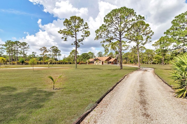 view of home's community featuring a yard