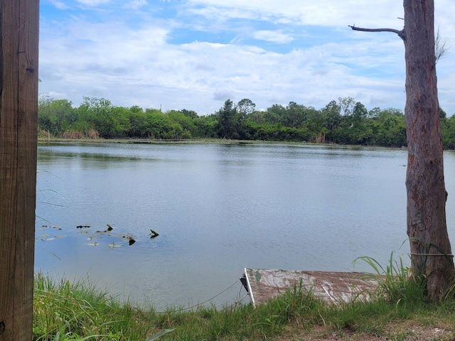 6390 SE Bridge Rd, Hobe Sound, FL 33455 - water view with a heavily wooded area