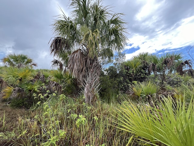 2190 Carter Ave SW, Palm Bay, FL 32908