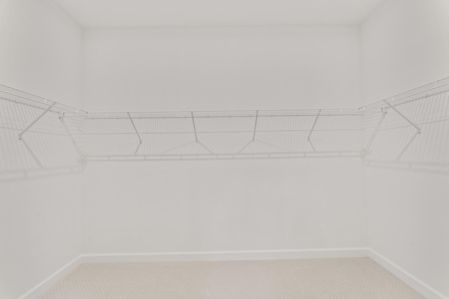 13461 SW Bally Dr, Port Saint Lucie, FL 34987 - spacious closet with light carpet