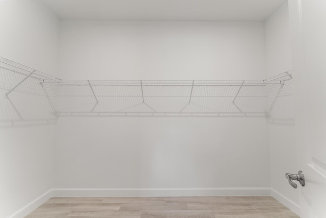 13445 SW Bally Dr, Port Saint Lucie, FL 34987 - walk in closet with light wood-style floors
