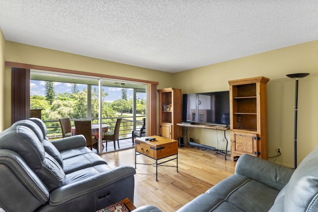 living room with light wood finished floors, healthy amount of natural light, and a textured ceiling