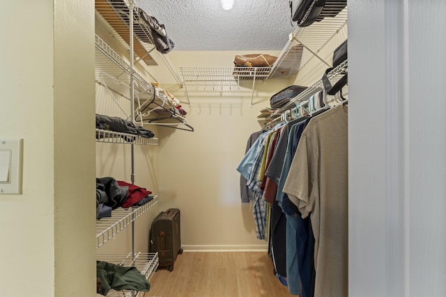 walk in closet featuring wood finished floors