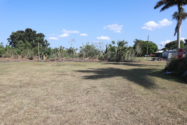 view of green lawn