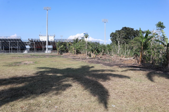 360 Kismet Ave, Pahokee, FL 33476 - view of yard