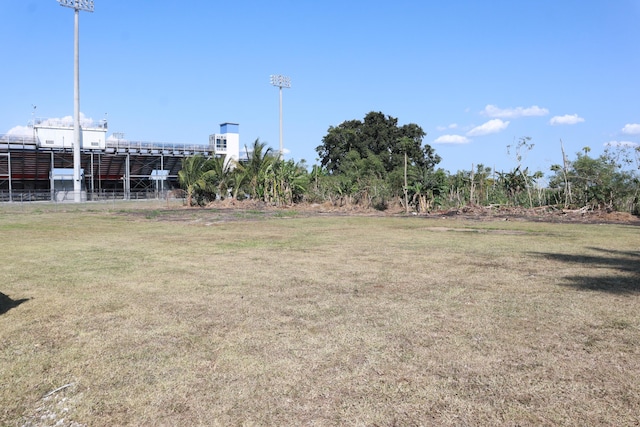 view of green lawn