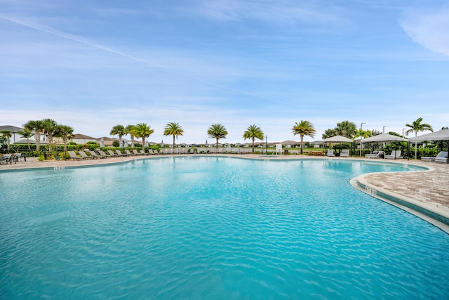 view of community pool